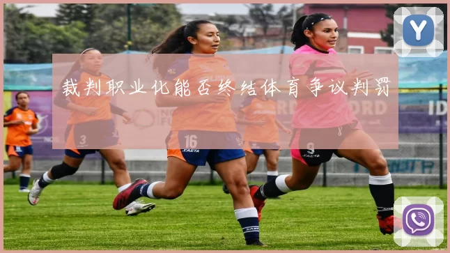 裁判职业化能否终结体育争议判罚