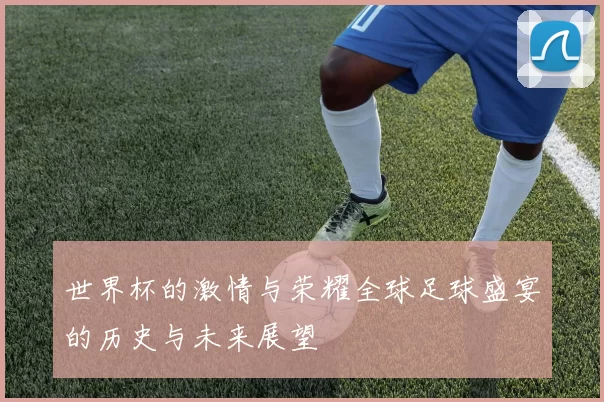 世界杯的激情与荣耀全球足球盛宴的历史与未来展望