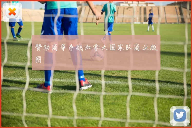 赞助商争夺战加拿大国家队商业版图