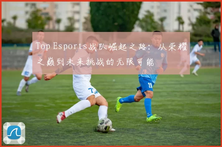Top Esports战队崛起之路：从荣耀之巅到未来挑战的无限可能