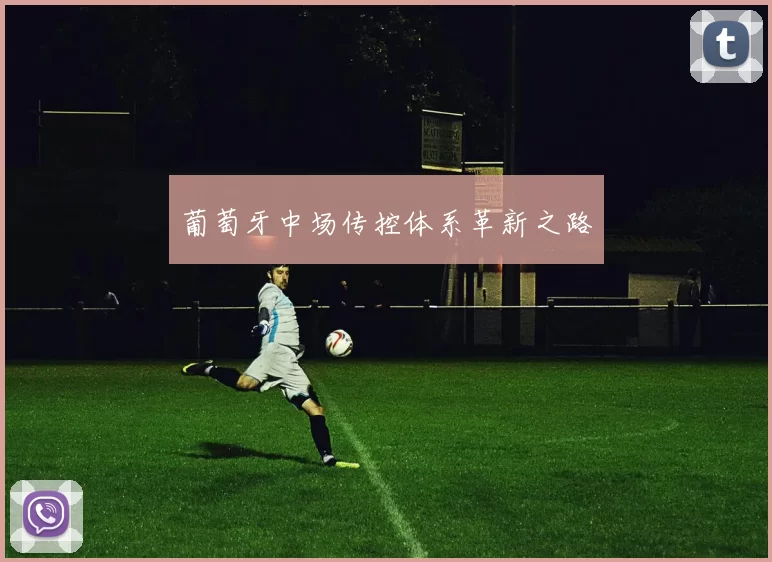 葡萄牙中场传控体系革新之路