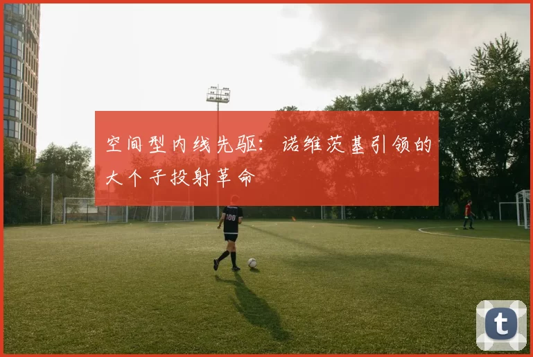 空间型内线先驱：诺维茨基引领的大个子投射革命