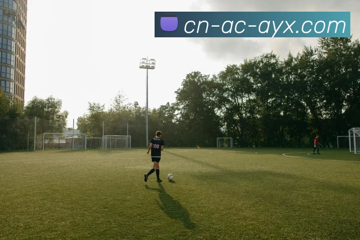 北京国安力争三分迎战强敌 力图延续连胜势头争夺顶级荣耀